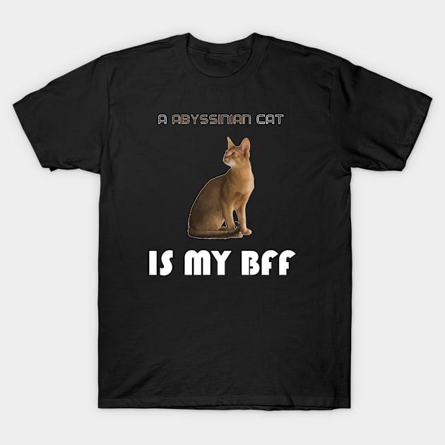 A Abyssinian Cat is My Bff T-Shirt by AmazighmanDesigns